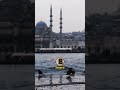 Dünyada 290 ülkedeki cami sayıları ve zirvede olan ülke #shorts