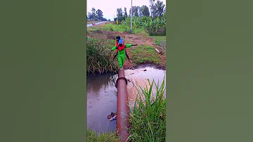 Funny The Most Trending Kasongo Yeye Video Funnytrynottolaughchallange Funny Subscribe 