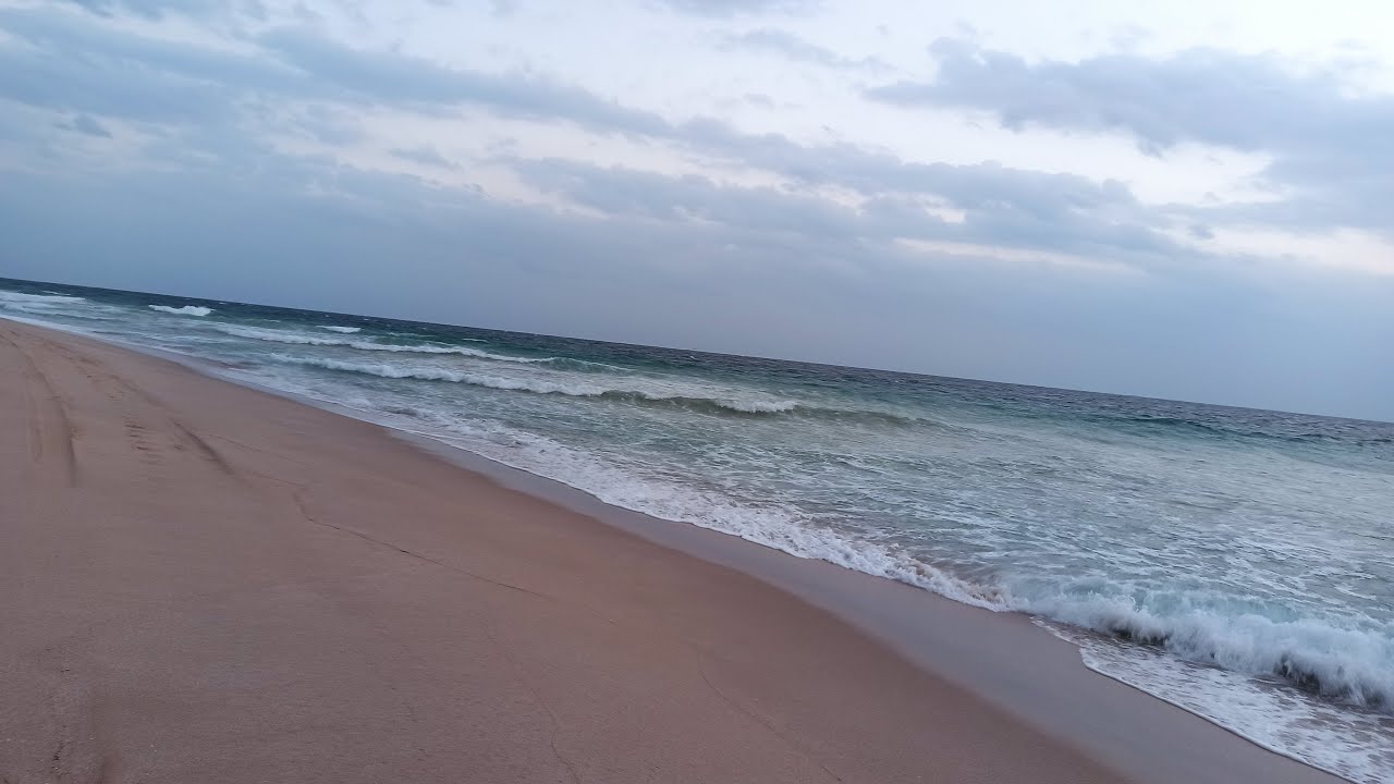 TURTLE BEACH SUR RAS AL HAAD OMAN - YouTube