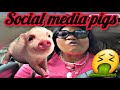 Marcia C.J Need More Dan 9to5 Donna & Ashanti 360 Mutual Understanding Have All Of U Crazy 💉💊🚑🏨