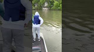 IMG 0464