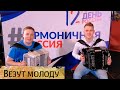 Везут молоду -  Сергей Громов, Владимир Серебренников