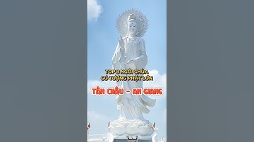 TOP 3 ngôi chùa có tượng phật lớn Tân Châu An Giang #shorts #shortvideo #travel #pagoda #hycoca