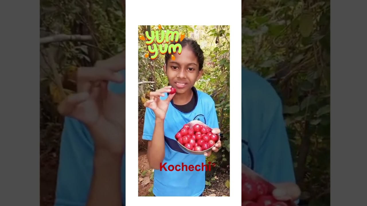 Kochechi salted Lubica Lovlolikka in brine Karonda Indian Cranberry Vaakkai