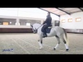 Trailer  pedro torres dressage  working equitation dvd the master of portuguese equitation