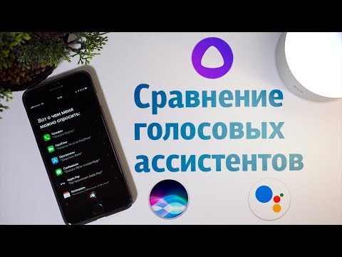 Сравнение голосовых ассистентов – Google Assistant, Apple Siri, Яндекс Алиса