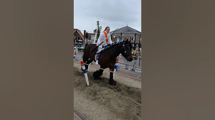 ?? Ringrijden Koudekerke ????  Nederland @TravelwithHugoF  #ringrijden #horses #koudekerke #netherlands