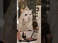 😻 Royal Cat Bridal Makeup 😍 Cute Cat Doing Full Makeup in Beauty Parlor! #CatMakeup#CuteCat#FunnyCat