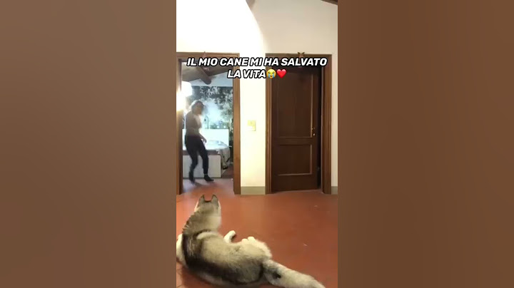 IL MIO CANE MI HA SALVATO LA VITA!!!😭❤️