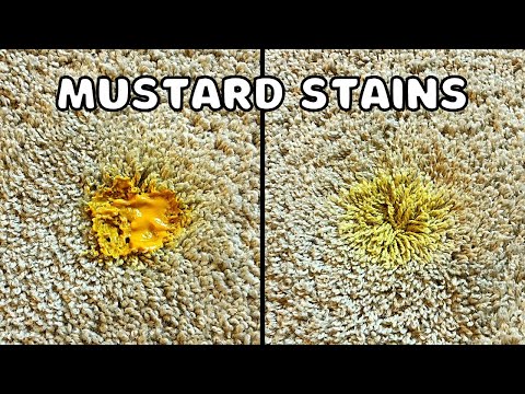 How to Remove MUSTARD Stains From Carpet