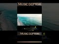 Musicseptor-summer dream