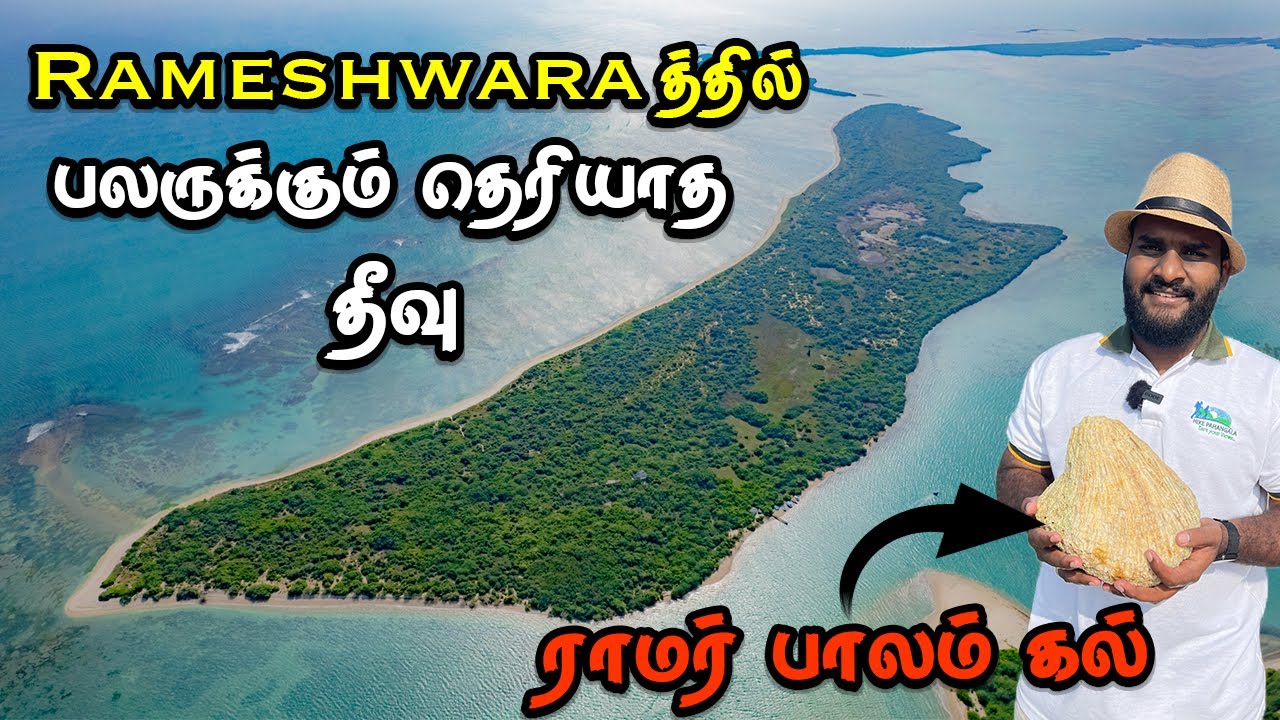 ராமேஸ்வரத்தில் டால்பின் இருக்கும் குருசடை தீவு | Kurusadai Island Tamil Navigation