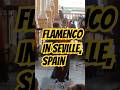 The Most Impressive Mastery of Flamenco Dancing