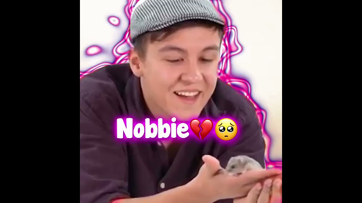 Ruhe in Frieden nobbie💔du wirst in meinem Herz bleiben weil du einfach wie mein Haustier warst💕🐹