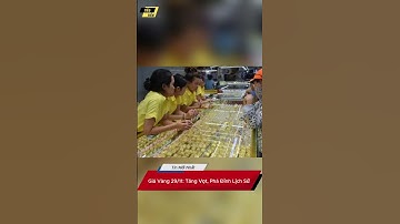 Giá Vàng 29/11: Tăng Vọt, Phá Đỉnh Lịch Sử