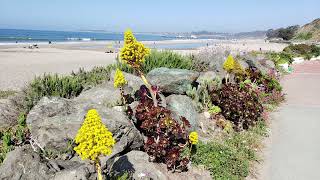 Best Beaches in Santa Cruz Part 1 - Seacliff Aptos Rio Del Mar Brighton