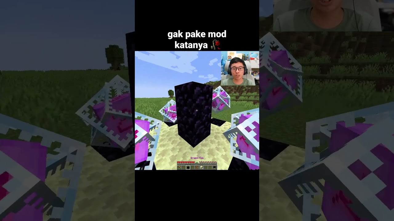 Momen Axolotl Ender Dragon Minecraft