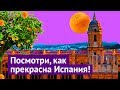 Малага: ламповый, южный город