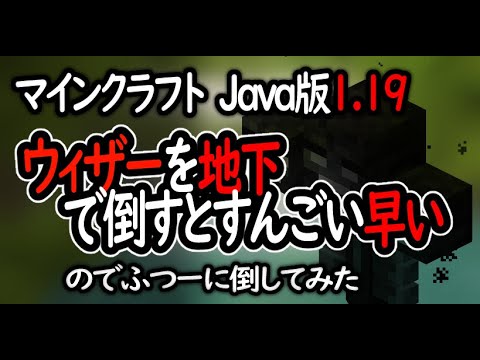 【マイクラ 1.19 Java版】地下でウィザーを倒す