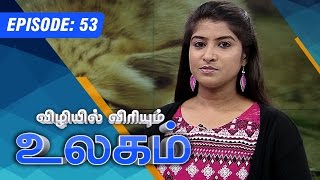 World News  22082015  epi 53