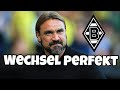 Fix: Daniel Farke unterschreibt für 3 Jahre bei Borussia Mönchengladbach