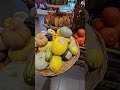 Colourful pumpkins austria melk billa food vegetables