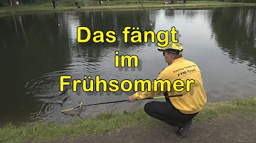 Wann fängt der Frühsommer an?