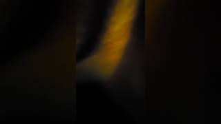 vrum nerrrrrrrr vrum screenshot 2