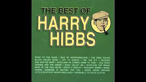 Harry Hibbs - Memories