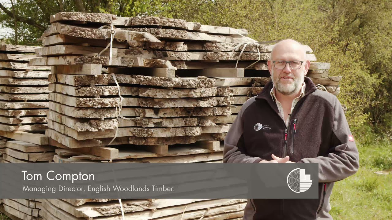 Wood Knowledge: An Introduction To Elm