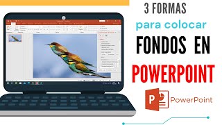 ✔ Como colocar IMAGEN de Fondo en Powerpoint. 2022. Trucos