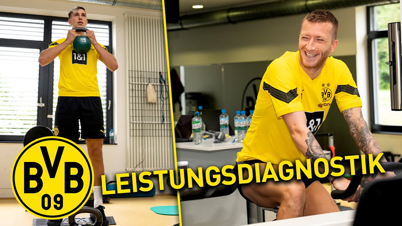 Work begins for Haller, Adeyemi & Co. | Performance Diagnostics