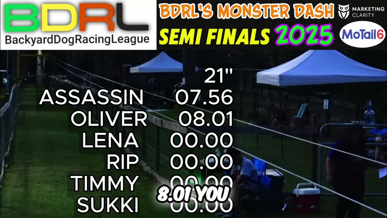 Dog Racing Drama at Monster Dash Semi Finals 