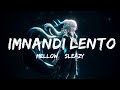 Mellow & Sleazy x SjavasDeejay x TitoM - Imnandi lento (Lyrics) feat. Tman Xpress Lyrics Vibes