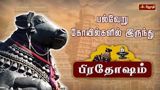 🔴LIVE: விதியை வெல்லும் பிரதோஷ வழிபாடு | Pradosham பல்வேறு கோயில்களில் இருந்து | Pradosham | Jothitv