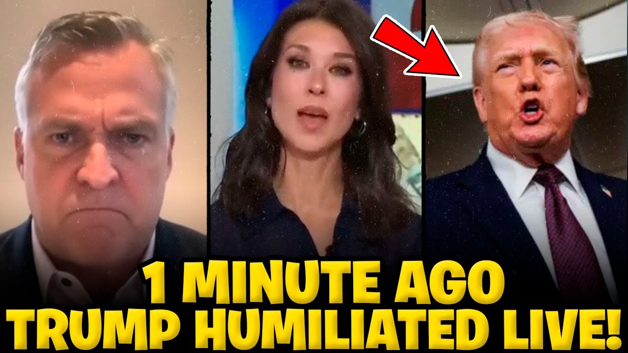 🚨😱 SHOCKING: Former ambassador to Denmark embarrasses Donald Trump LIVE!