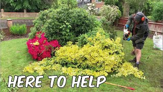 Anxiety And Depression Caused This Garden To Get Out Of Control | We Were Happy To Help Transform It by Acres Lawn Care 66,225 views 9 months ago 1 hour, 2 minutes