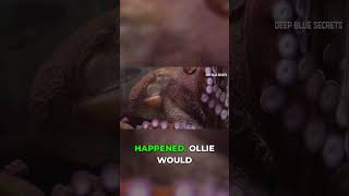 Ollie the Octopus: The Great Aquarium Escape Artist!