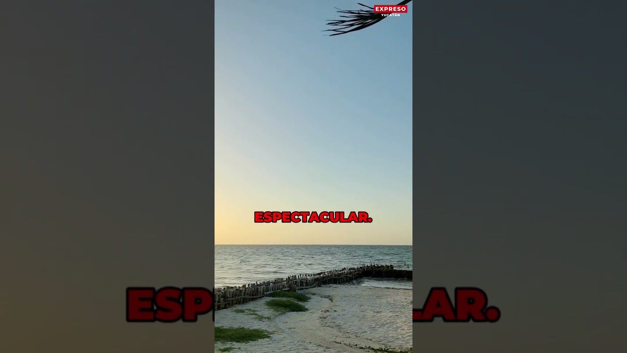 🌅🌊 ¡CHELEM NOS REGALÓ UN AMANECER DE POSTAL!