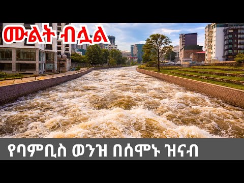 Addis Ababa Flooding? Bambis Riverside After Unexpected Heavy Rain | 4K Walking Tour