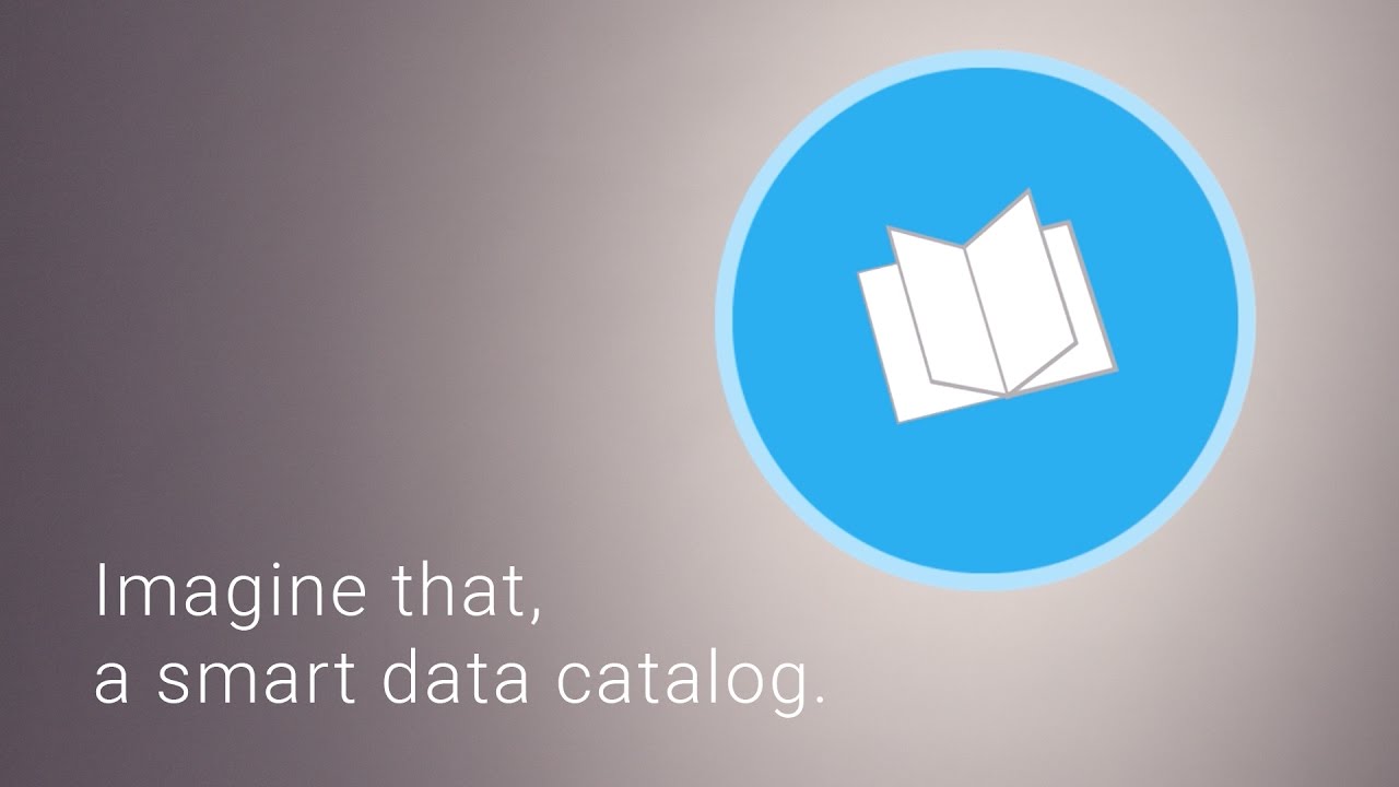 Enterprise Information Catalog a smart data catalog for datadriven