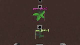 Plant and weed detection using YOLOv5 ¦ Agriculture robot ¦ROS real time simulation