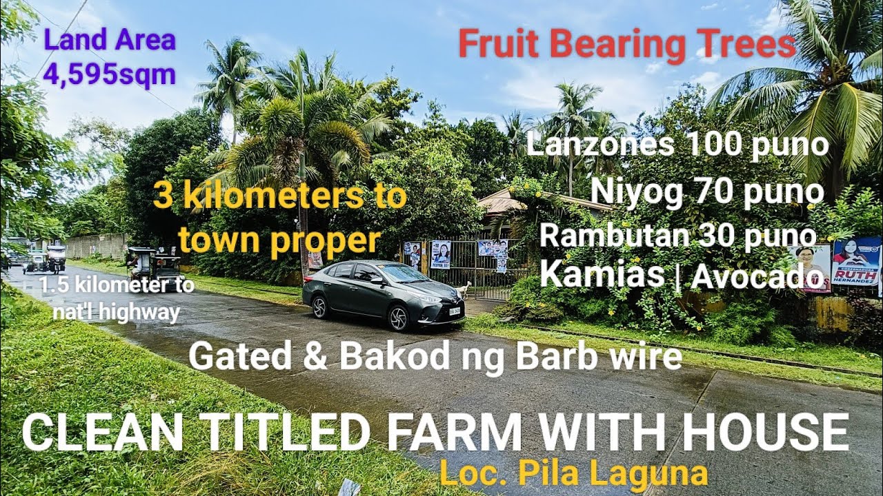 #Vlog295 FARM LOT WITH HOUSE FOR SALE | CLEAN TITLED in PILA LAGUNA | 1.5 KILOMETER TO HIWAY ❗SOLD❗