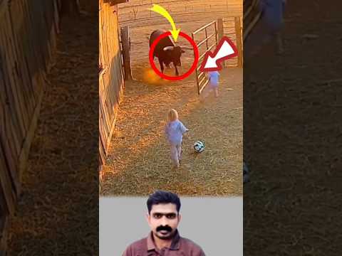 حين يكتب القدر مشهده يختار أبطاله من حيث لا نظن حتى لو كان الحصان رسول رحمة لطفل دويتو 