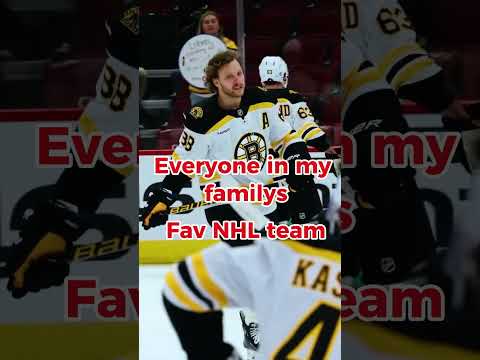 My familys fav nhl teams
