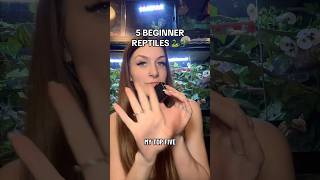 Best Beginner Reptiles? 🤨🐍