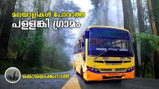 മലയാളികൾ പോവാത്ത പള്ളങ്കി ഗ്രാമം | Kodaikanal | Palani Idumban Malai | free20