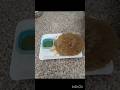 बाजरे के आटे का चीला #food #cooking #shorts