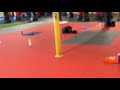 Strength Tuesday