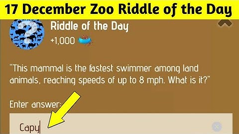 Riddle of the Day Zoo 17 December | Zoo Riddle of the Day | Riddle of the Day X Empire